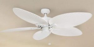 Best Ceiling Fans without Lights
